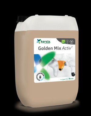 Golden Mix active (23 kg)